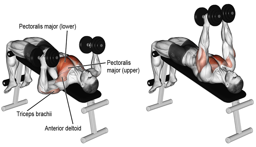 Những bài tập gym tại nhà để có body đẹp dành cho nam giới