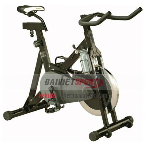 Xe đạp tập thể dục PLATINUM AL-750